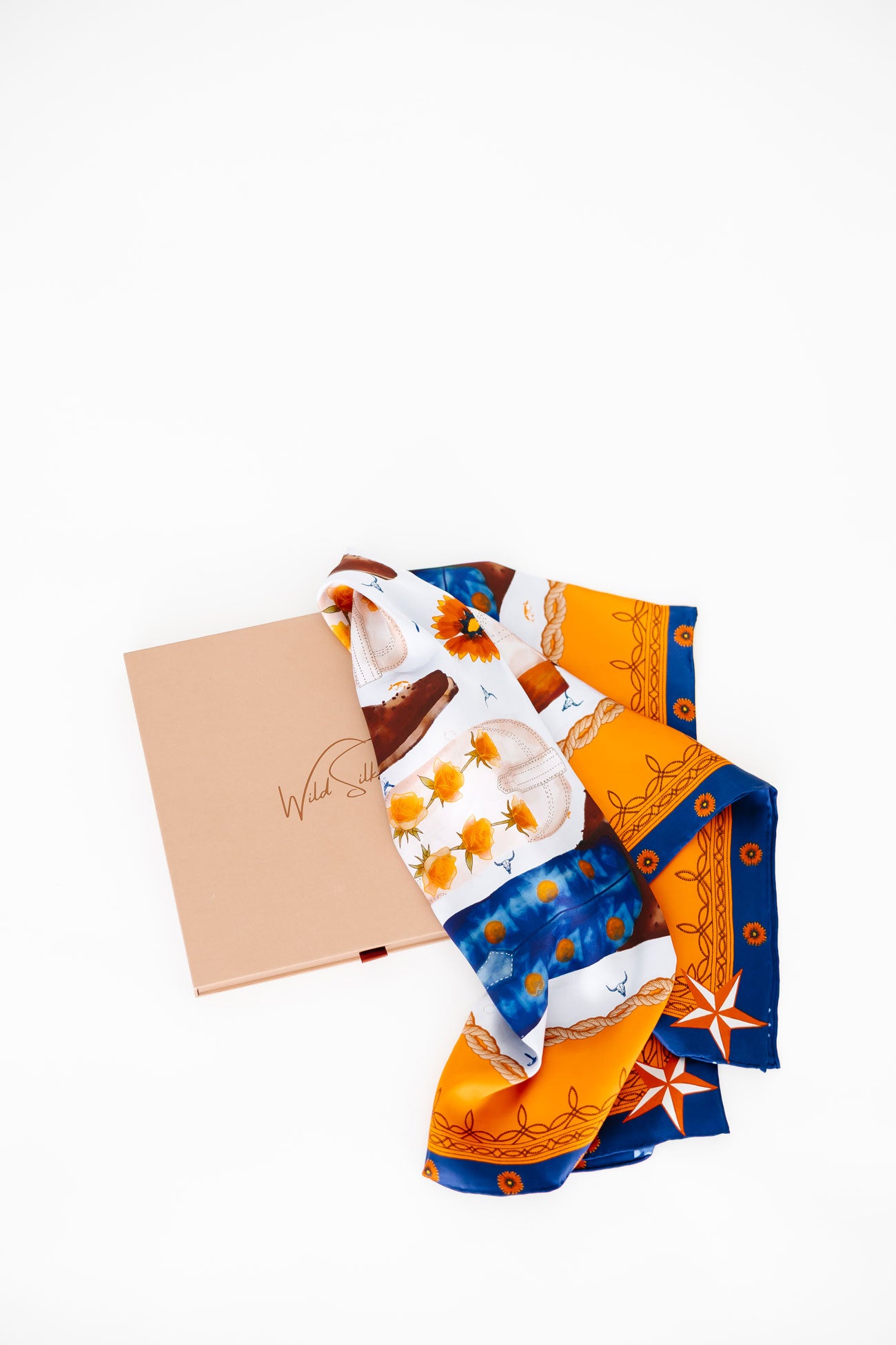 Let's Rodeo, Houston!