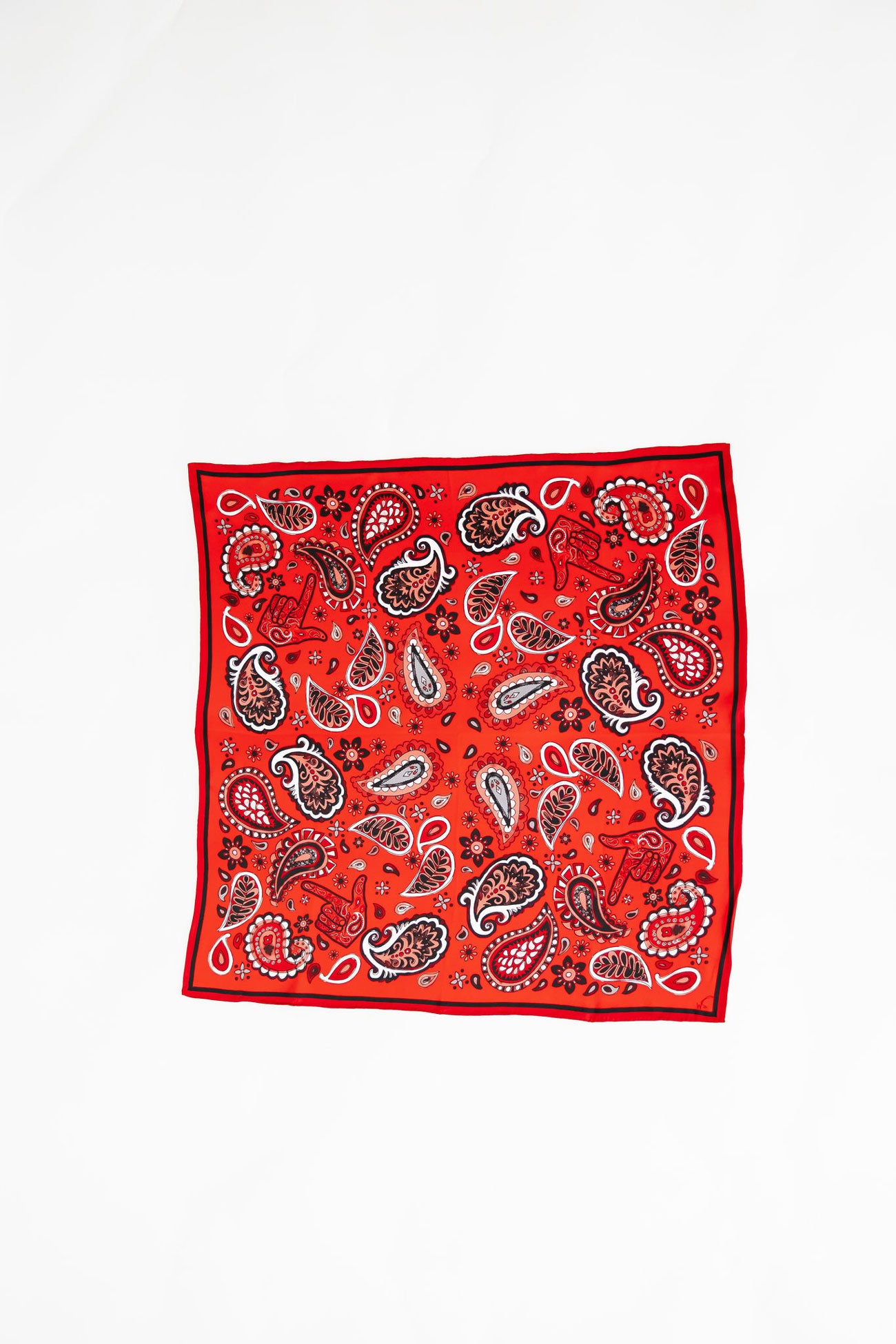 Black Scarlett Paisley Scarf
