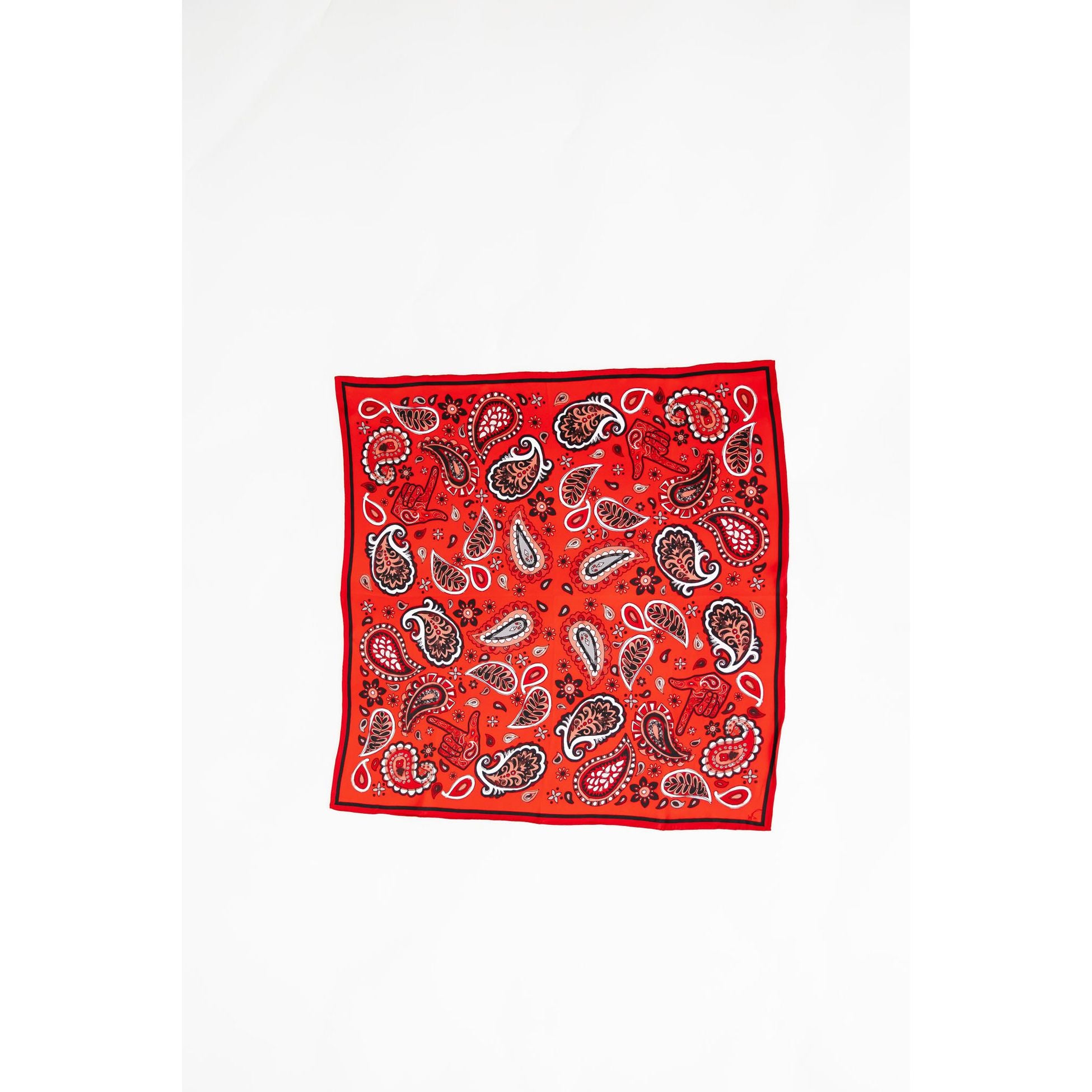 Black Scarlett Paisley Scarf