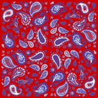 Pony Paisley Pocket Square