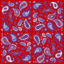 Pony Paisley Pocket Square