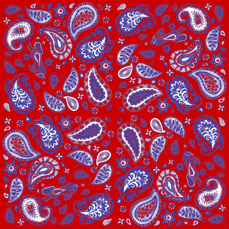 Pony Paisley Pocket Square