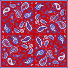 Pony Paisley Scarf