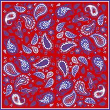 Pony Paisley Scarf