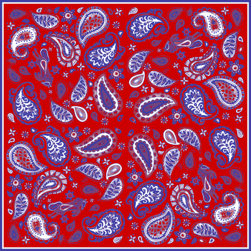 Pony Paisley Scarf