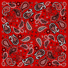 Black Scarlett Paisley Pocket Square
