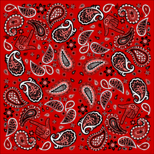 Black Scarlett Paisley Pocket Square