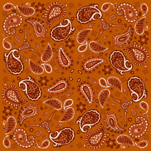 Burnt Orange Paisley Pocket Square