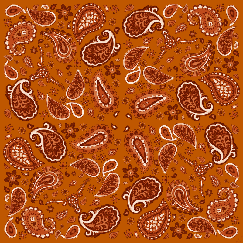 Burnt Orange Paisley Pocket Square