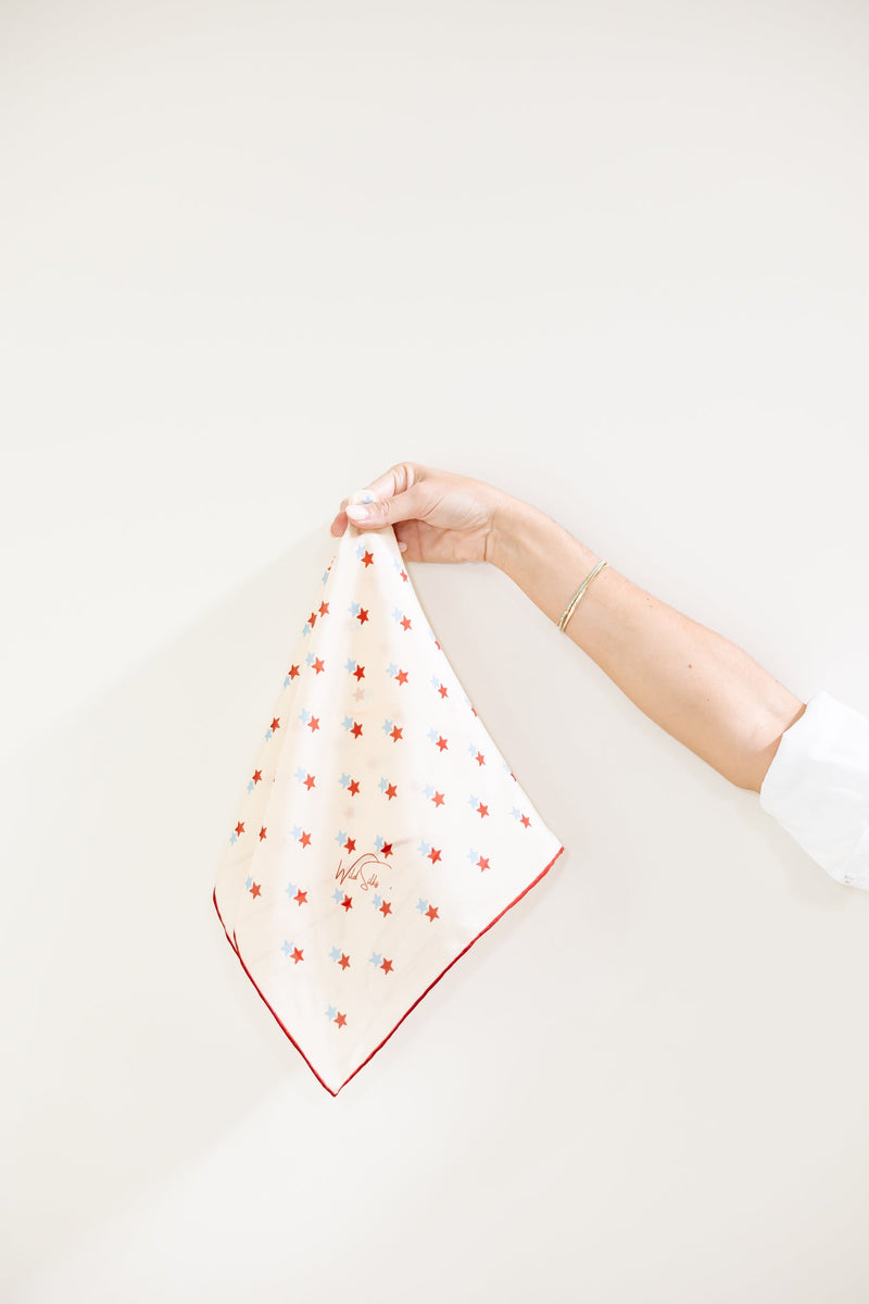 Twin Stars Scarf image 1