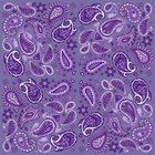 Purple Paisley Pocket Square