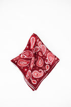 Maroon Paisley Scarf