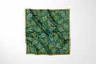 Green Bear Paw Paisley Scarf