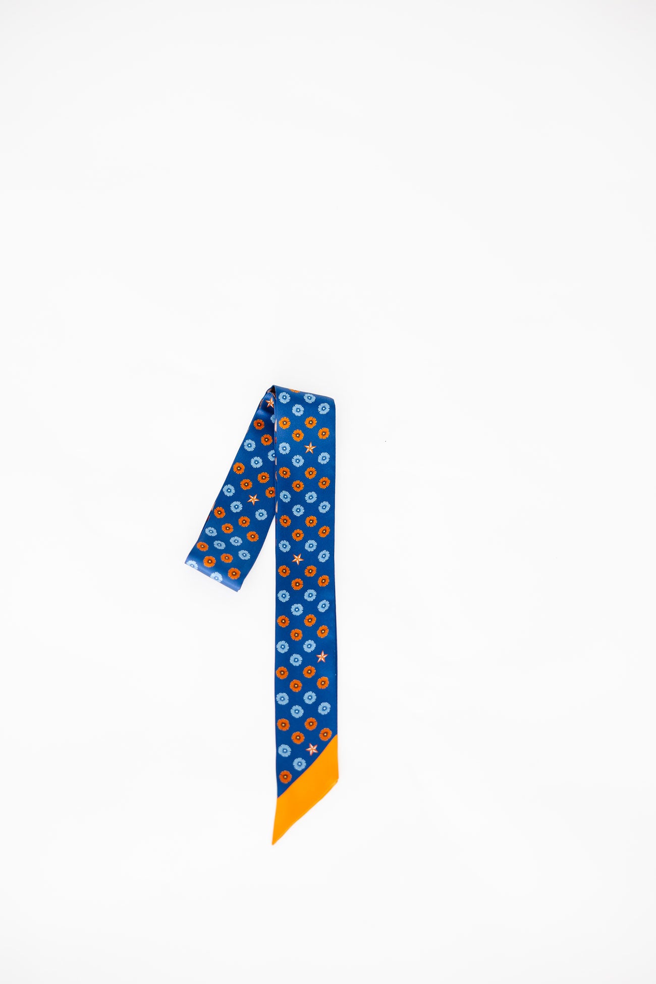 Let's Rodeo, Houston! Silky