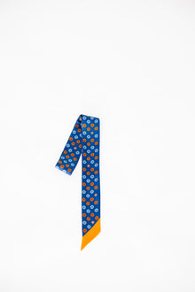 Let's Rodeo, Houston! Silky