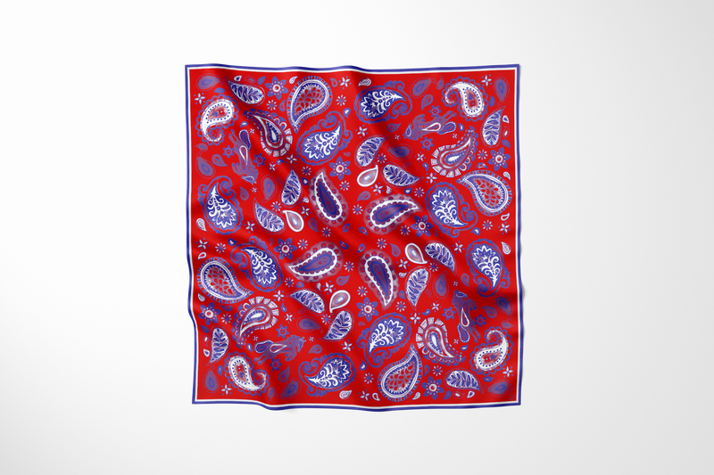 Pony Paisley Scarf