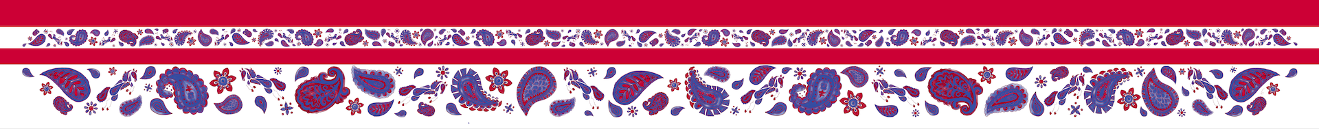 Pony Paisley – Silky (Skinny Scarf)