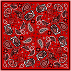 Black Scarlett Paisley Pocket Square
