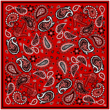 Black Scarlett Paisley Pocket Square