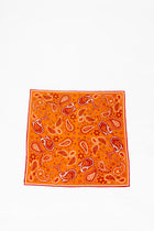 Burnt Orange Paisley Scarf